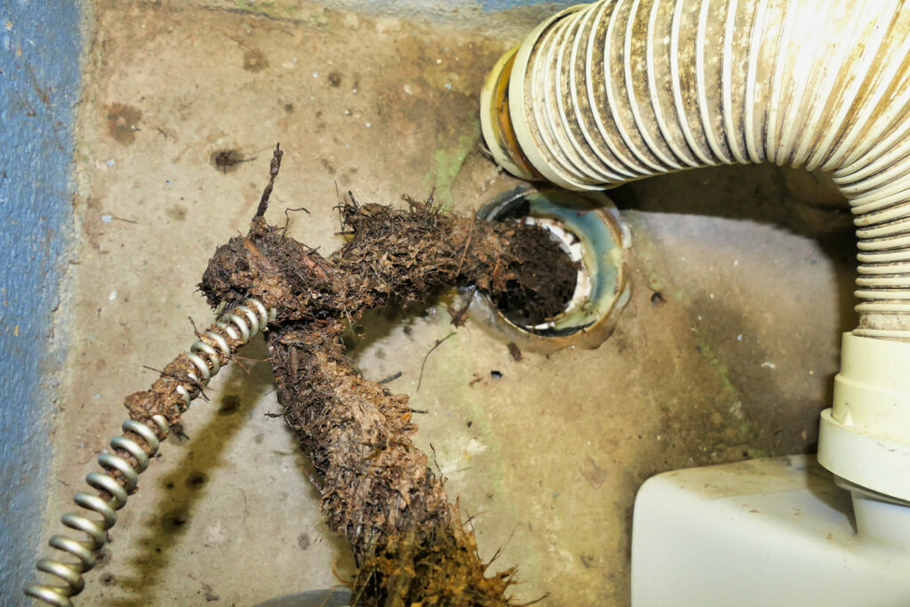Drain Cleaning Services in Cary, NC